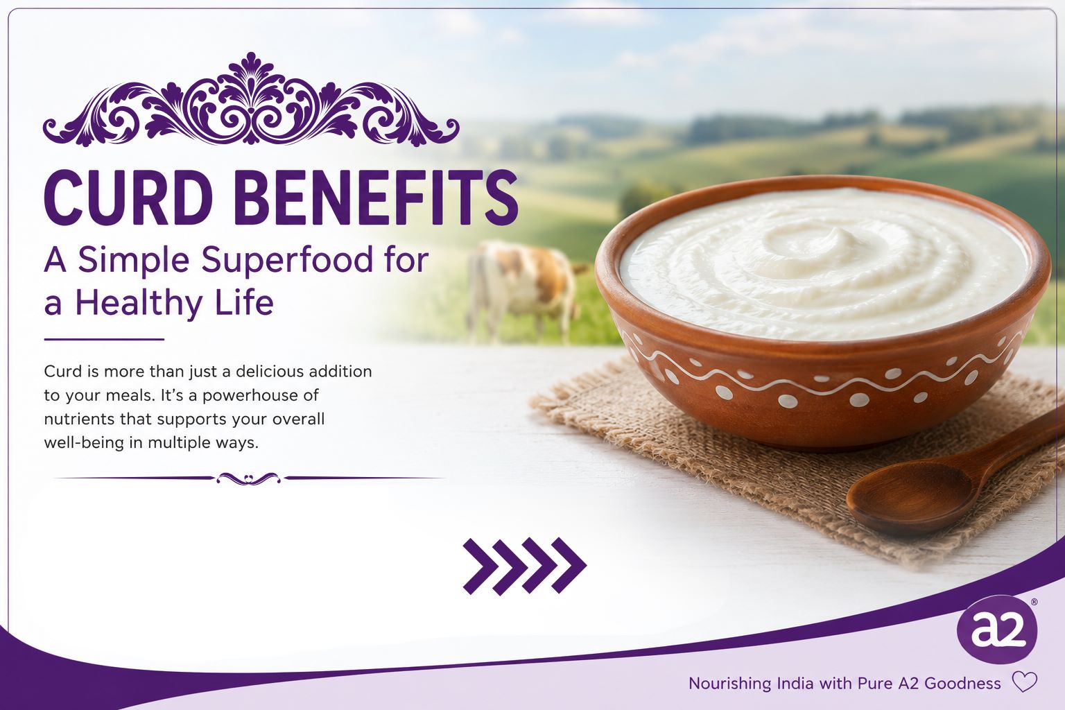 Real Or Powder Milk