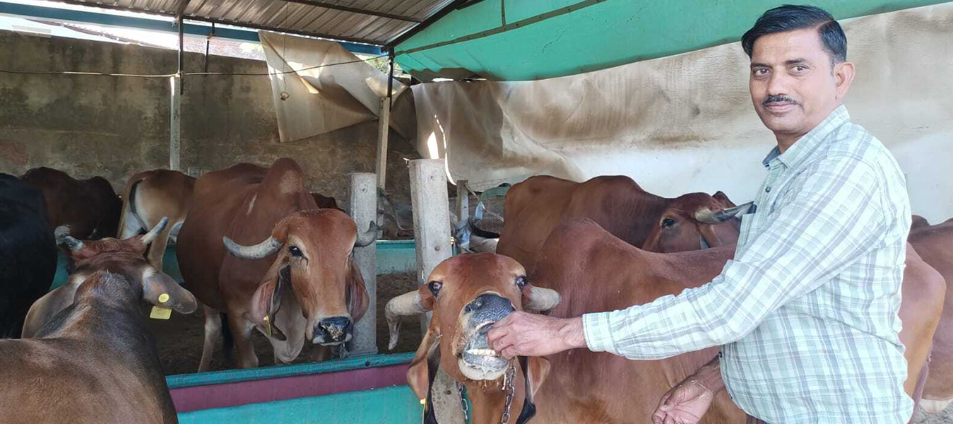 ORGANIC & FARM FRESH A2 MILK